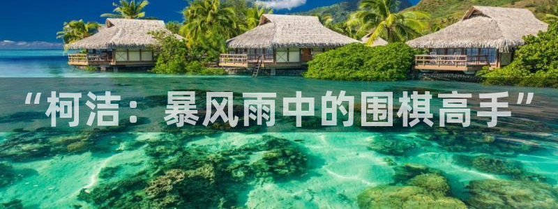 河豚nba直播官网：“柯洁：暴风雨中的围棋高手”