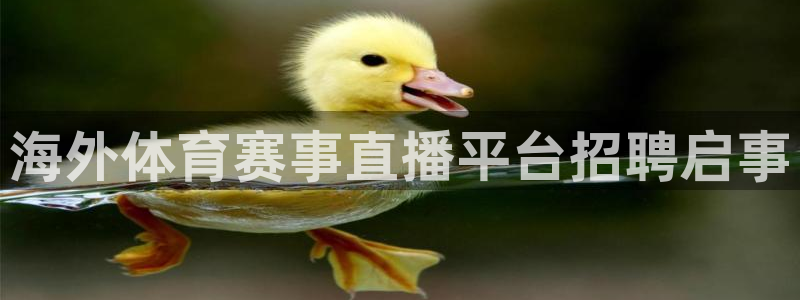 河豚tv直播：海外体育赛事直播平台招聘启事