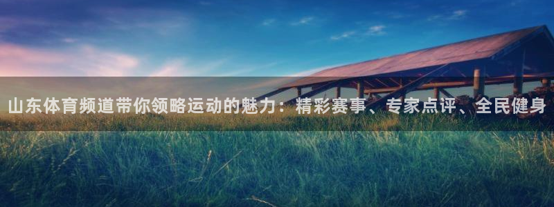 河豚体育直播app官网下载：山东体育频道带你领略运动的魅力：精彩赛事、专家点评、全民健身
