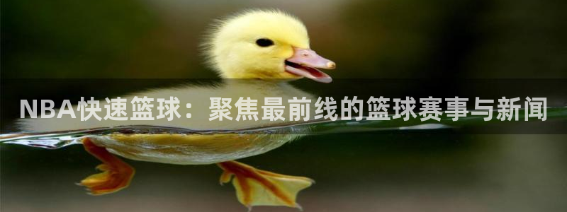 河豚直播体育app下载：NBA快速篮球：聚焦最前线的篮球赛事与新闻